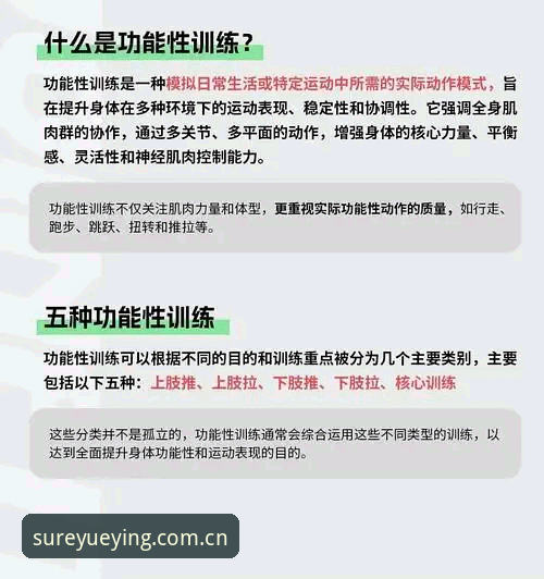 悦盈体育沉浸式功能全面评测：实战派教你如何榨干v3.2.1版本潜力