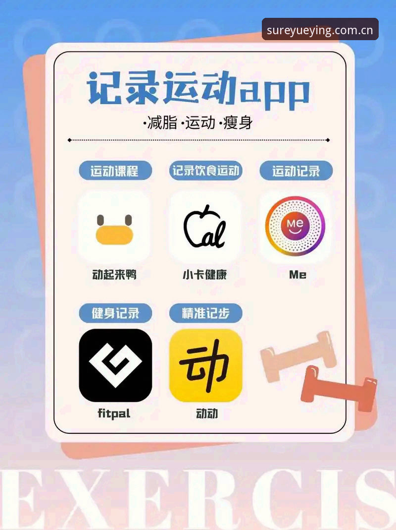 悦盈体育平台登录完整指南：新手快速上手的五个关键步骤